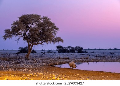 Amelia setting up her astrophotography equipment in the NamibRand Nature Reserve under an incredibly dark sky, ready to capture the Milky Way