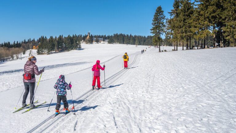 Families cross-country skiing