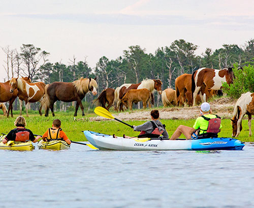 A candid sunset shot of the family kayaking. The bioluminescence creates a magical, ethereal effect, with warm lighting coming from the sunset. The figures are silhouetted against the glowing water.