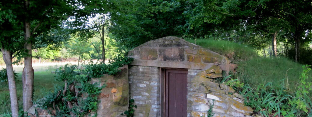 Alternative root cellar
