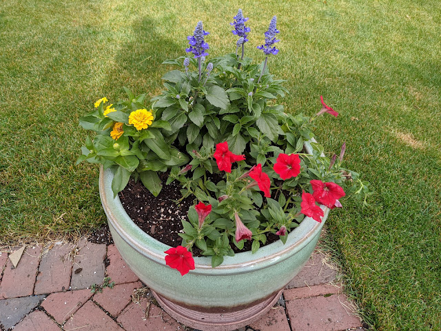 Cultivating a Cutting Garden: Blooms All Season...