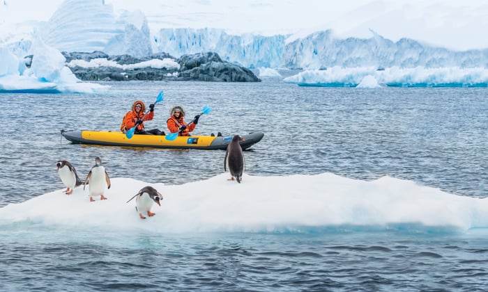 # Unforgettable Underwater Adventures: Beyond the...