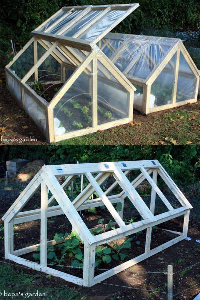 woman opening cold frame garden smiling