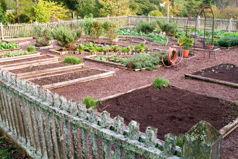 Raised garden beds