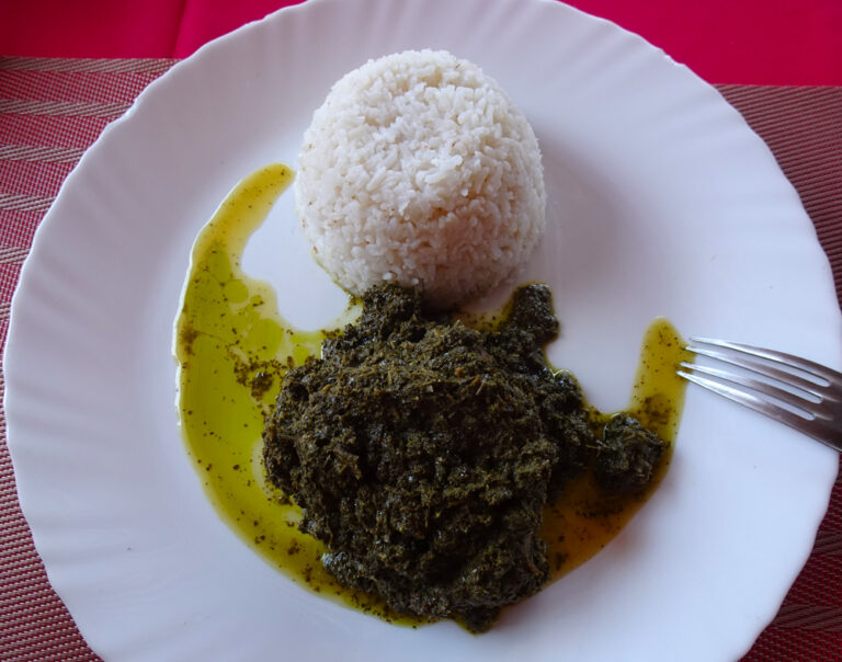 A member of the Anjajavy staff tends to seedlings in the conservation nursery, with rows of young native plants stretching into the background.