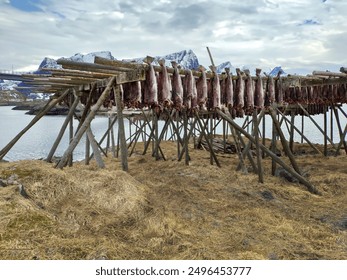 Sudden storm rolling in over the Lofoten Islands