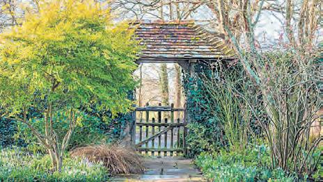 7 Secrets to a Buzzing Farmhouse Pollinator Paradise [
