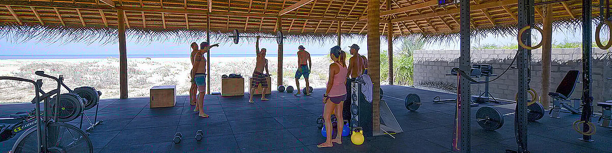 # Beach Therapy: Healing the Mind Through Nature's...