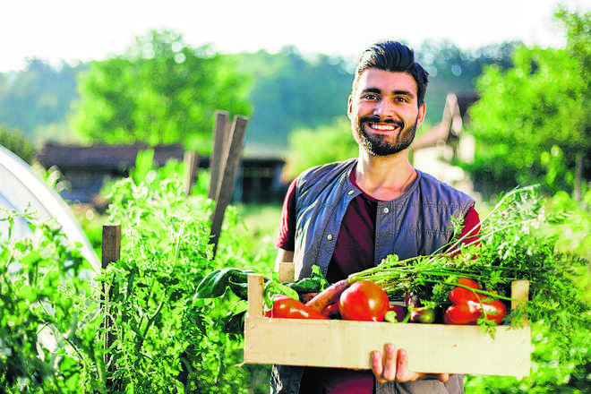 A farmer caring for his land