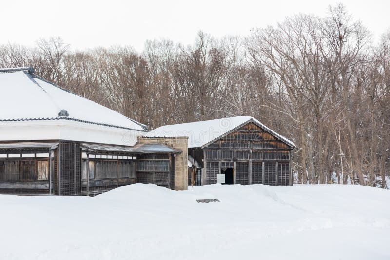 # Hokkaido's Hidden Winter Wonders: Beyond the Ski...