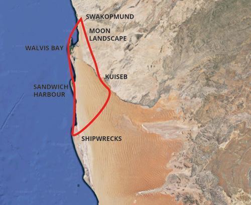 Desert elephant in Namibia