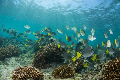 Interior of the ship