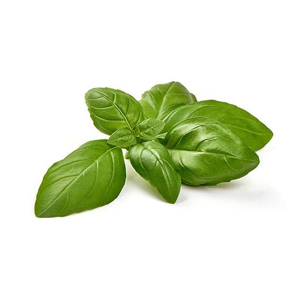 basil seeds