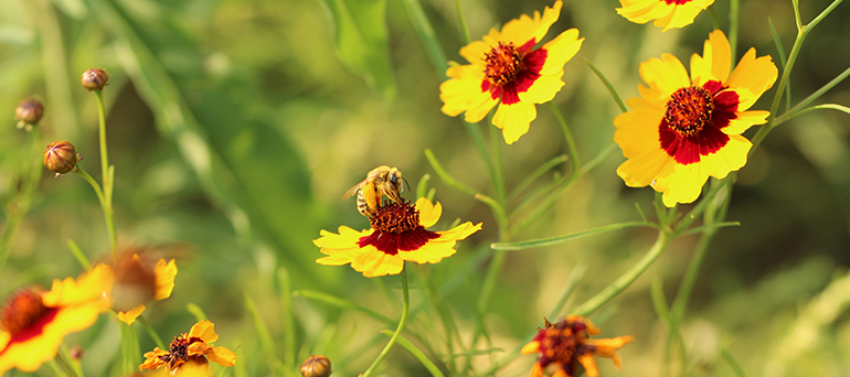 DIY bee house project materials