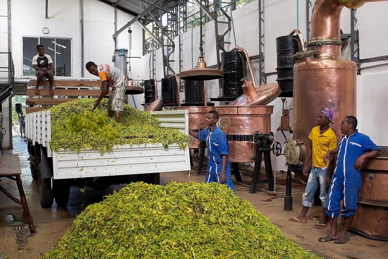 # Nosy Be: A Sustainable Slice of Malagasy Paradis...