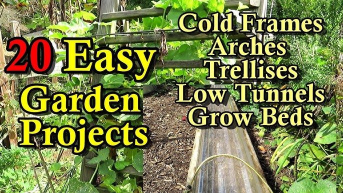 [Your Homestead's Journey] Transform Your Tiny H...