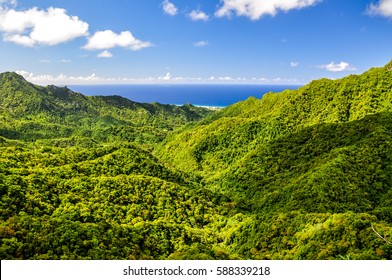 Maya hiking with Pa's Treks, capturing the steepness of the trail and the lush surroundings