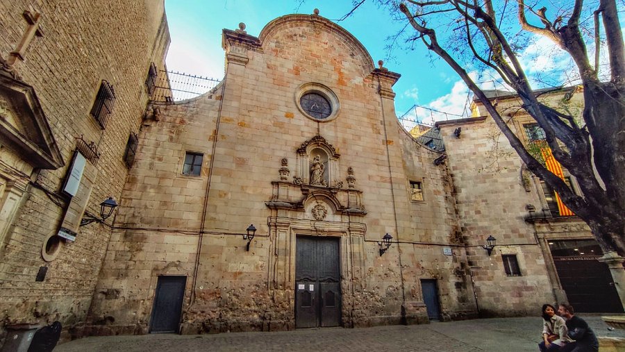 A photo capturing the Sardana dance in front of the Barcelona Cathedral, showing the dancers, the cobla, and the architectural backdrop.
