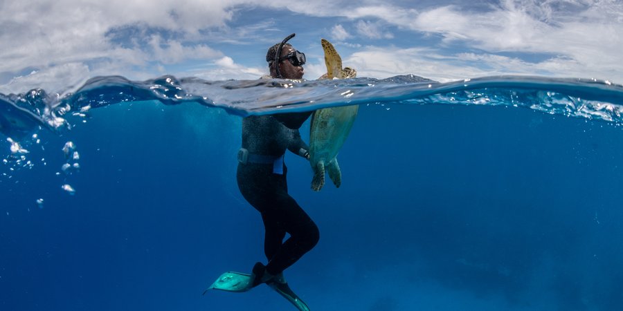# Beyond the Beach: Ethical Sea Adventures that Gi...