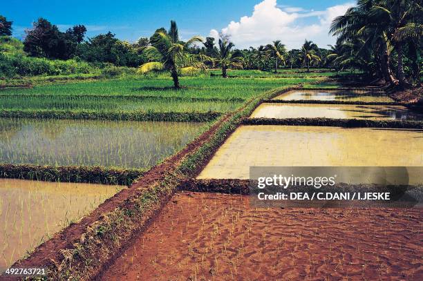Anya exploring Lokobe National Park