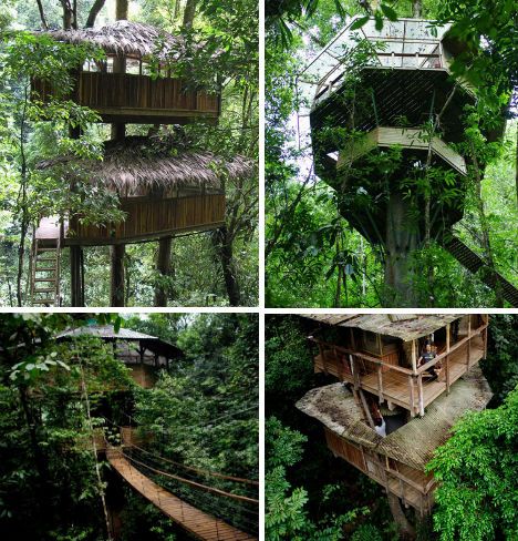 # Bamboo Ecotopia: An Eco-Architect's Dream in the...
