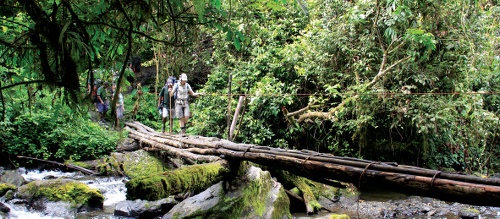 A Papua New Guinean porter carrying supplies on the Kokoda Track, exemplifying their strength and resilience in the humid jungle environment.