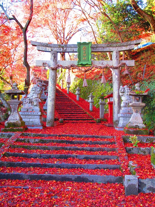 ## Kyoto in Autumn: A Journey for the Soul

Just a...