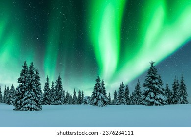 A vast snowy landscape with muted sunlight filtering through the trees, representing the tranquil beauty of winter and the potential for deep connection.