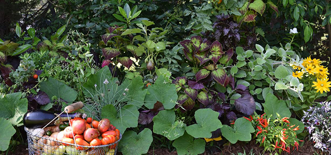 Homestead Gardens catalogue