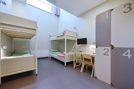 # Amsterdam on a Dime: The Eco-Chic Solo Traveler'...