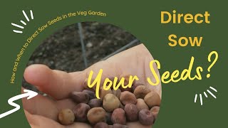 Selection of salad seeds, gardening tools, and containers.