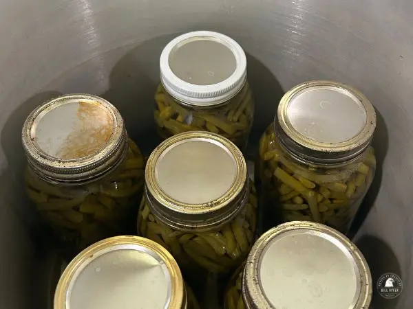 Green beans processing in a boiling water bath