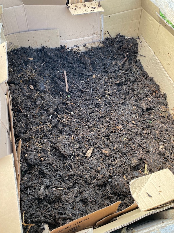 happy gardener hands compost seedling