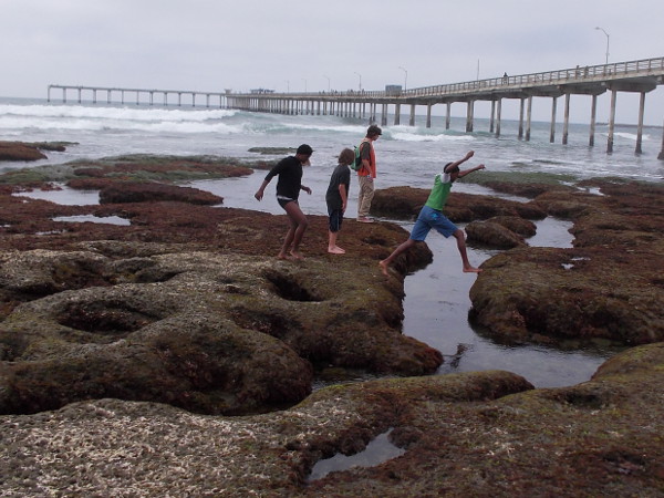 A family kayaking in La Jolla Shores, spotting sea lions and dolphins.