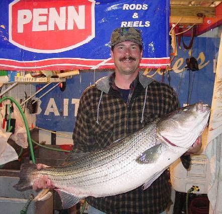 My surf fishing setup on Assateague Island, showing my rod, reel, and bait.