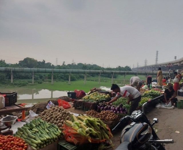 City Farming