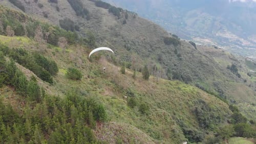 ## From Dewey Decimals to Delicious Destinations:...