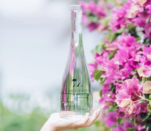 Coral reef underwater