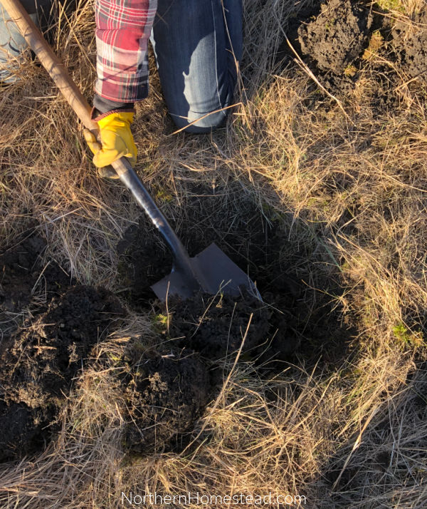 Digging Deeper: How No-Till Gardening is Helpin...