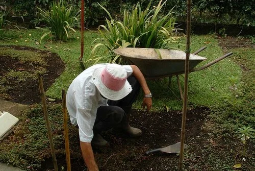 Grow More Than Groceries: The Regenerative Gard...
