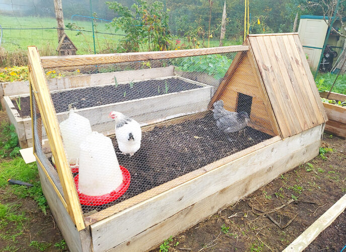 A close-up of wheels attached to the frame of a chicken tractor