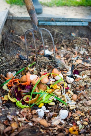 Transforming Scraps to Soil: A Beginner's Guide to...