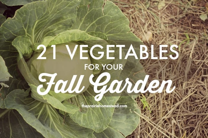 fall vegetables