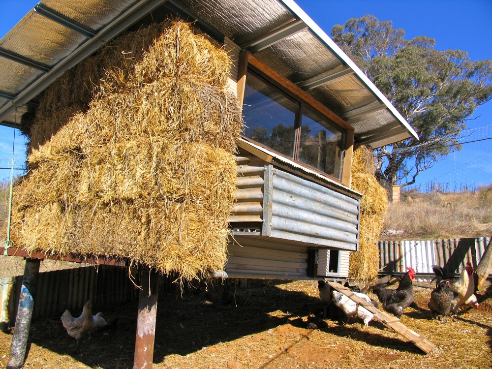 Cozy Coop, Happy Hens: Preparing Your Backyard...