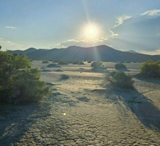 A lone figure in flowing white robes meditating on a towering sand dune as the sun sets, casting long, dramatic shadows. The sky is a canvas of orange, pink, and purple. This image represents the solitude and serenity found during the Silent Meditation Retreat in Oman.