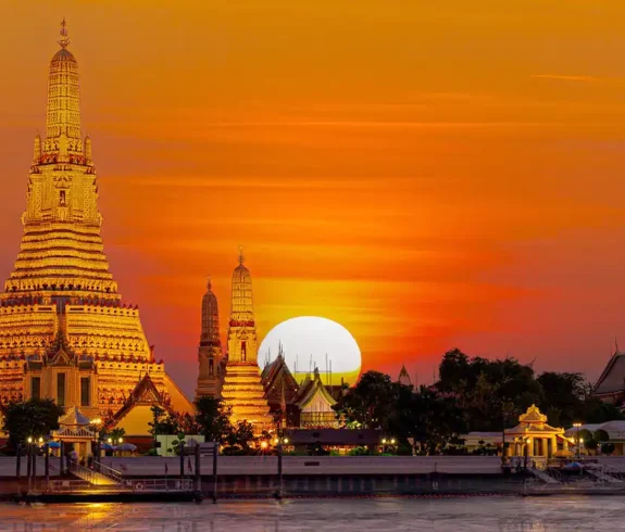 Chatuchak Market: Fueling up for adventure at Chatuchak Market - Pad See Ew for 100 baht!