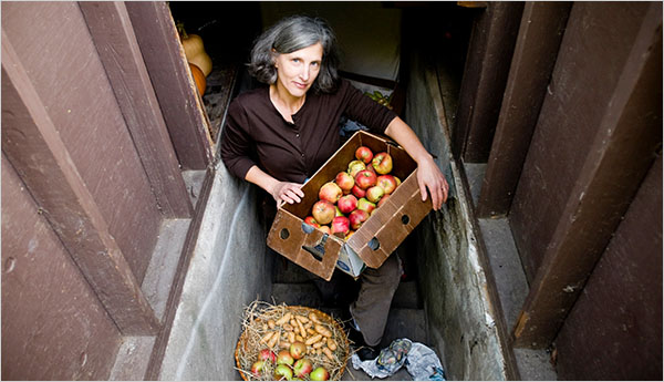 An open door to a basement root cellar