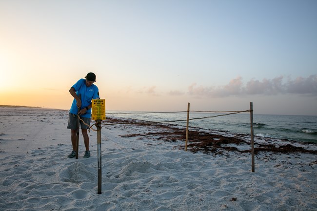 Travelers on night patrol in Costa Rica, using red-filtered headlamps to identify and protect sea turtle nests from poachers, minimizing disturbance to the nesting turtles.