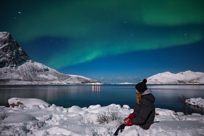 # Chasing the Arctic Dream: Unforgettable Winter A...