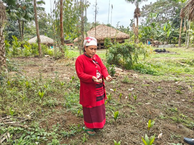 Aatreyee Dhar Arunachals women healers plants Akur plucks